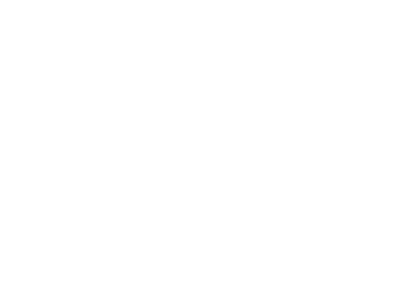 logo carship